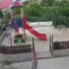 Кузбассовец жестоко избил дворовую собаку в Сочи