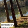 «Твоя штучка красивая?» В Ижевске девушки решили покататься в лесу на...