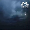 Гнилое дело рухнуло на машину и голову новосибирца. Теперь на битом авто...