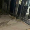 Осетинку Диану нашли, она уже вместе с Фёдором