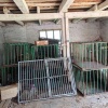 Прокуратура выявила многочисленные нарушения в деятельности приюта для...