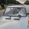 В Киселевске 72-летнего водителя будут судить за наезд на пенсионерку на пешеходном переходе