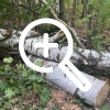 Брянец заплатит 235 тысяч за 8 вырубленных березок