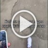 Парень показал бабушкам у подъезда видео с нейросетевыми...