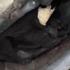 На Дмитровском шоссе сотрудницы салона услышали грохот и...