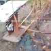 Могилу участника СВО сожгли в Иркутском районе