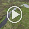 Спасатели и волонтеры искали рыбака в Лужском районе — он...