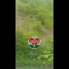 Смелый кузбассовец прогнал медведей из города