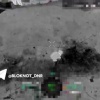 Боевая работа фронтового кота попала на видео российских дроноводов в зоне СВО