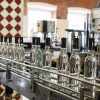 В Красном Селе каршеринг сбил двух женщин на остановке, одна из которых...