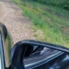 Медведь устроил привал прямо у трассы в Красноярском крае Необычного...