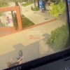 В Нижегородской области в Арзамасском парке мужчина с ребенком пнул...