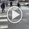 Москвичей призвали аккуратнее помогать уткам с утятами,...