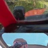 Канадские умельцы прикрепили FPV-камеры к радиоуправляемым машинкам и теперь в наслаждаются ездой с видом от первого лица.