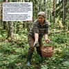 Рост числа пострадавших от укусов клещей зафиксирован в Новосибирской области...