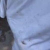 В Одинцове задержали фаната Джона Уика, который напился и пытался убедить...