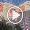 В Подмосковье огромная овчарка выпала с 15 этажа на глазах детей, игравших во дворе