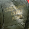 В Республике Хакасия заключен под стражу местный житель, обвиняемый в распространении детской порнографии