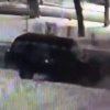 Ворюга вынес больше 100 вещей из чужой машины после аварии в Красноярске....