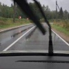 Лося заметили на дороге в Подмосковье В августе у сохатых начинается период...