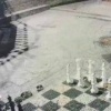 Медведи увлеклись шахматыами на острове Итуруп