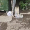 Рассадник крыс рядом с домом №1 на Пролетарской. И эта парочка на видео ещё...