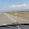 На Вавилинском затоне второй день замечают хромую лошадь