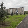 Нижнем Тагиле на месте дома, который разрушился после взрыва газа, разбили...