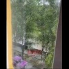 Фанат 