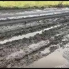 Жители жалуются на плачевное состояние дороги из села Ильинка в деревню...