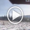 Довольно большой и упитанный житель охраняемой территории...