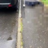 Тело гендиректора АО «НПК «Химпроминжиниринг» нашли в лесу недалеко от...