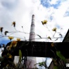 ТЭЦ-2 во Владивостоке на несколько дней перейдёт с газа на мазут – дым может почернеть