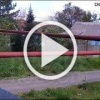 В Ставропольском крае пенсионер выстрелил из винтовки в щенка, который выбежал поприветствовать его