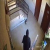 В Турции женщина зачем-то пнула мирно лежащего кота, а уже через секунду она споткнулась и впечаталась лицом в бетон.