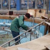 Фонтаны Новосибирска скоро уйдут в зимнюю спячку. Отключать их начнут в конце...