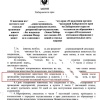 Эвтаназию бродячих собак разрешили в Хабаровском крае после многочисленных нападений на людей