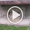 В Новосибирске котов замуровали в подвале многоквартирного дома