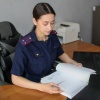 Лесничего из Дзержинского округа будут судить за незаконную вырубку леса В...