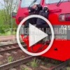 Внимание! Транспортная полиция информирует о выявленных случаях 