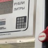 Цены на бензин в Брянской области продолжают ползти вверх