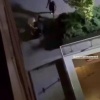 Группа поляков жестоко избила другого поляка, приняв его за украинца. Во...