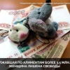 Клинцах задолжавшую более 3,5 млн рублей алиментщицу отправили на полгода в колонию