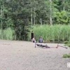 Во Владивостоке дети забрасывали уток камнями.