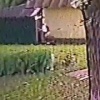 В Химках пьяный парень вломился в детский сад