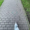 В Новокузнецке на Запсибе произошло ДТП, сообщают очевидцы 🇷🇺 Источник: ЧП...