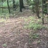 Москвичи устроили шашлык у многоэтажки на улице Бориса Пастернака. Соседи...