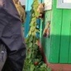 Жителю Хакасии грозит 5 лет за комменты в Сети
