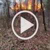 ❗️Российские артиллеристы поразили место размещение...