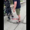 Конфликт с несовершеннолетними мотоциклистами на Лесной Поляне. По словам...